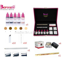 Heißer Verkauf Microblading u. Nebelhafter Augenbraue-Installationssatz, 3 in 1 halb Mikro-Schlag-Feder mit drei verschiedenen Kopf, Microblading Pigment